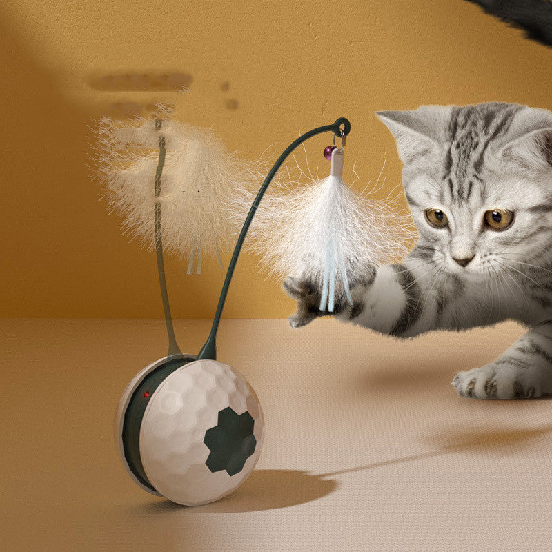 Pets Supplies