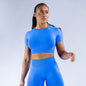 Nylon Fabric High Wicking Fitness Short Sleeve