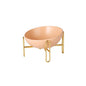 Pet bowl pet supplies