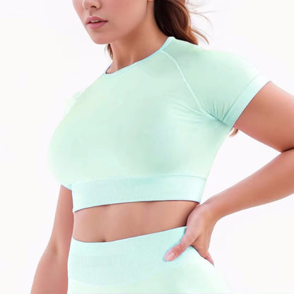Nylon Fabric High Wicking Fitness Short Sleeve