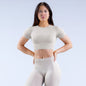 Nylon Fabric High Wicking Fitness Short Sleeve