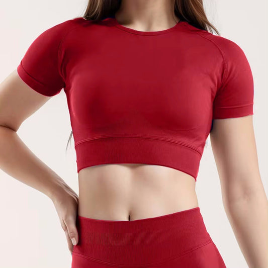 Nylon Fabric High Wicking Fitness Short Sleeve