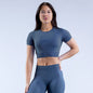 Nylon Fabric High Wicking Fitness Short Sleeve